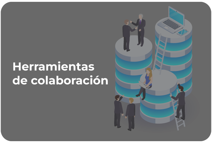 202209-Servicios08-LP-Gestion-documental 202209-Servicios08-LP-Gestion-documental